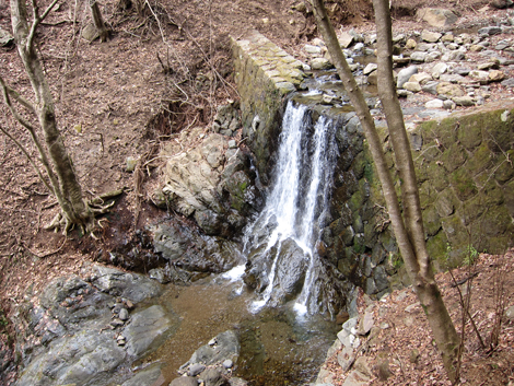 20200204hike (361)